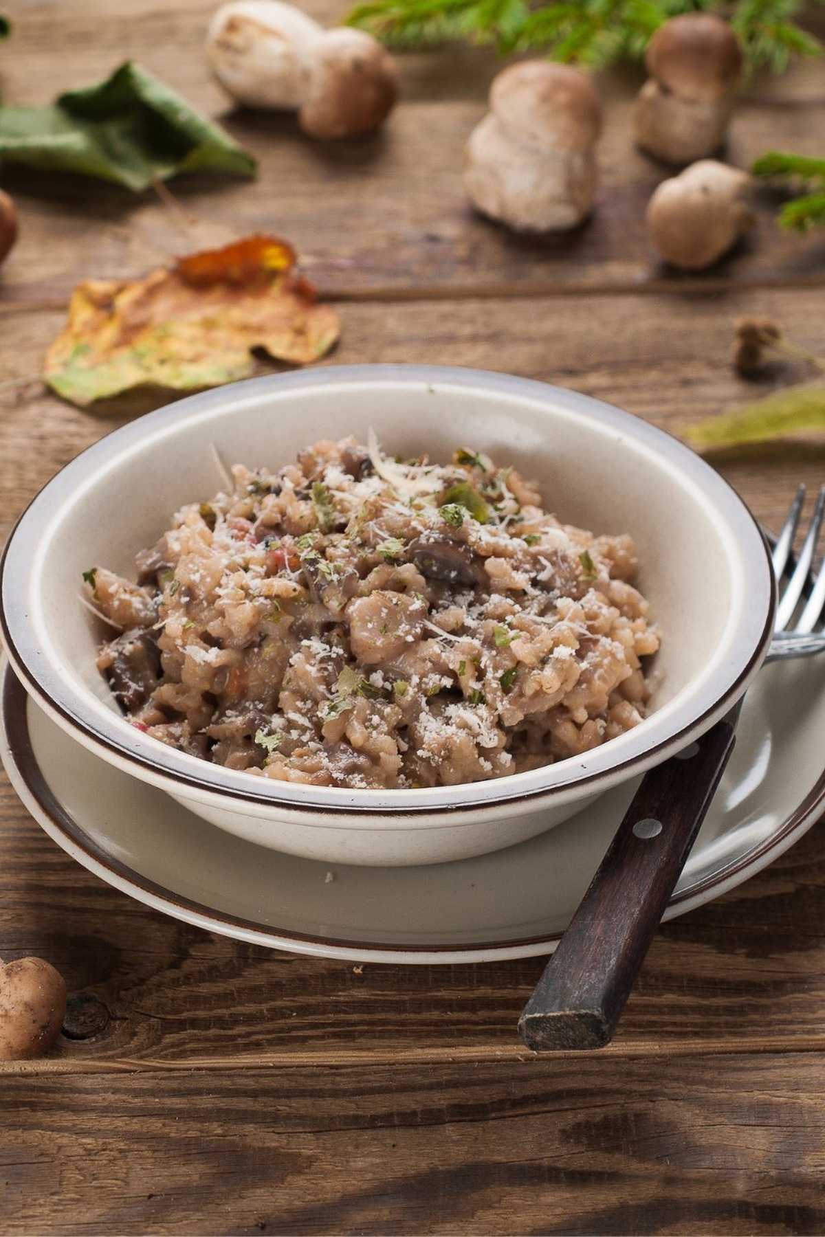 Bobby Flay Mushroom Risotto Recipe
