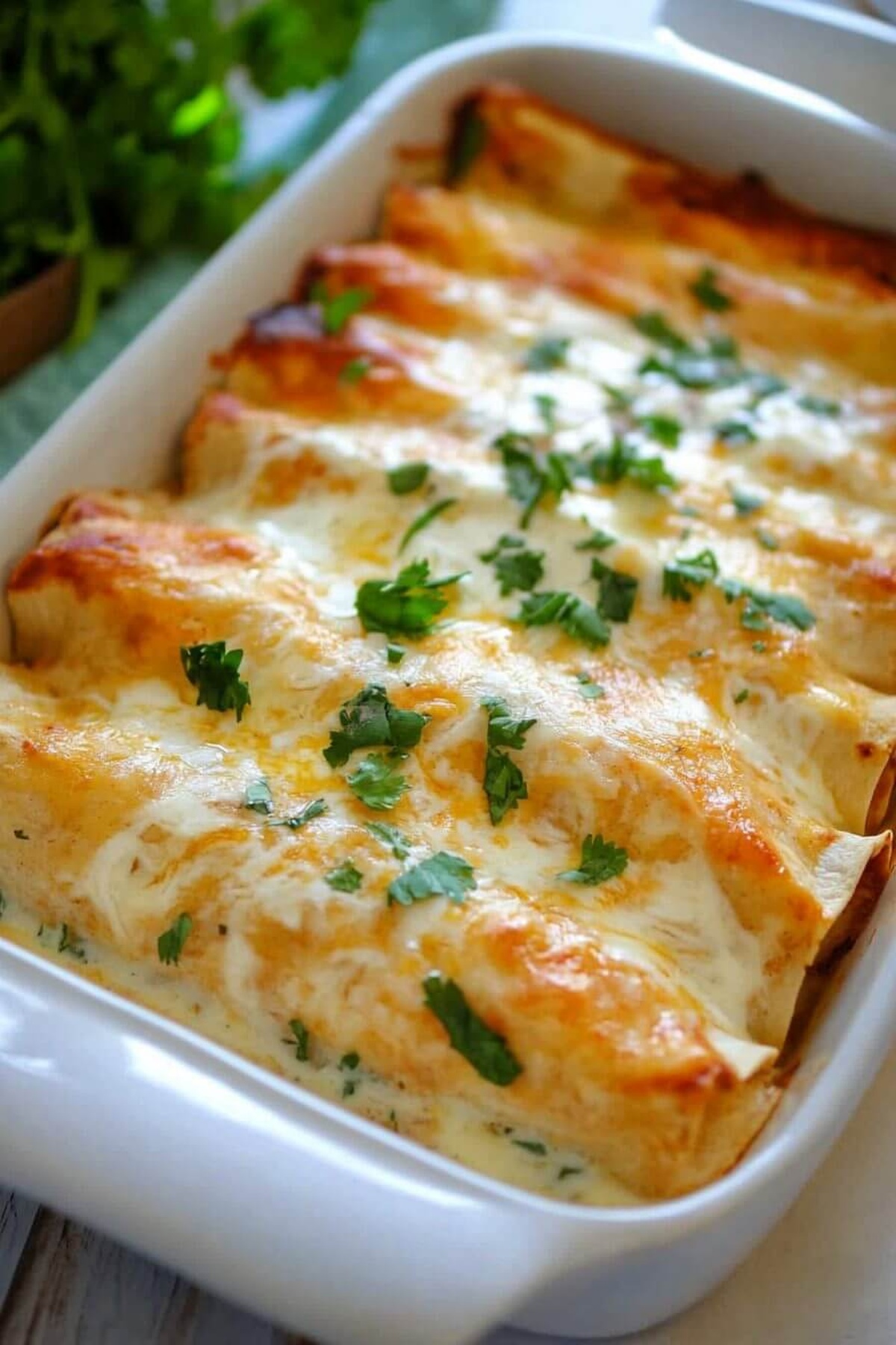 Creamy Chicken Enchiladas With Sour Cream White Sauce Recipe
