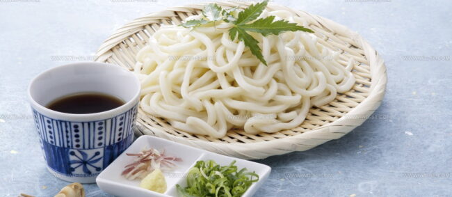 Udon Noodles