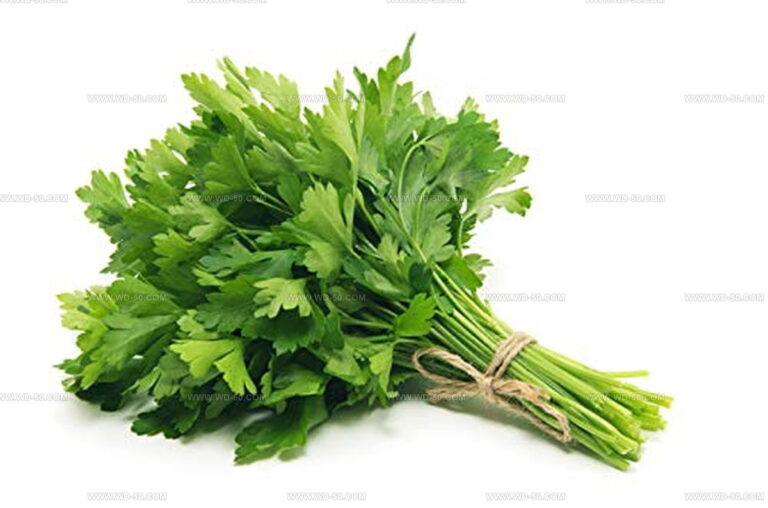 10 Using Dried Cilantro Instead of Fresh in Cooking