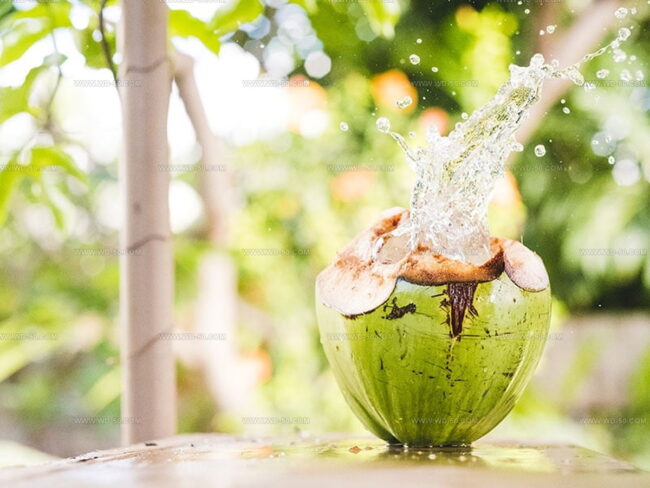 The Flavor of Coconut Water