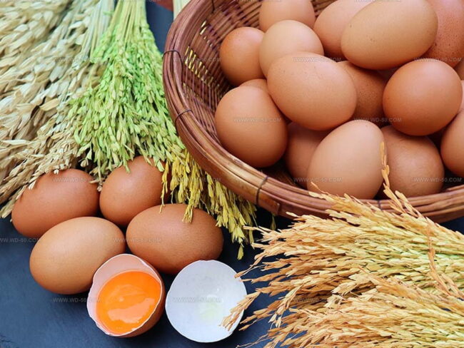 Troubleshooting Common Problems with Egg Substitutes
