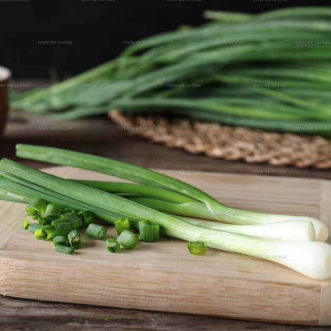 Scallions (Green Onions)