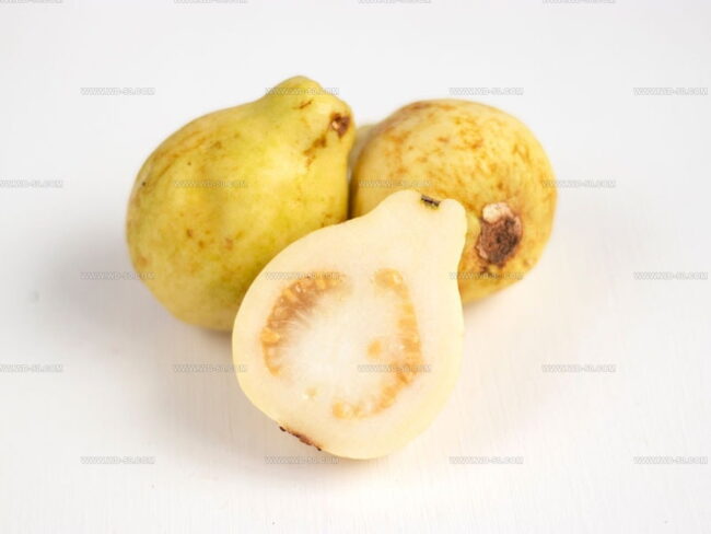 Yellow Guava (Mexican Cream)