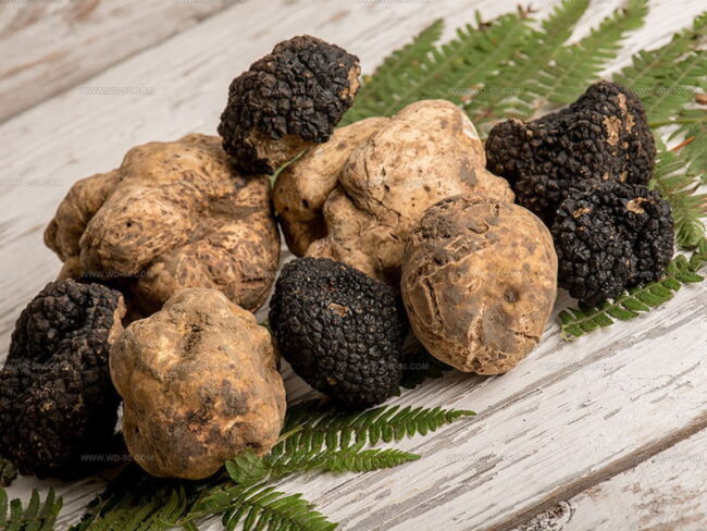 A Simple Look at Truffle Flavor