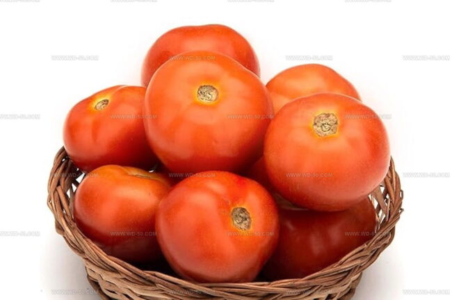 Fresh Tomatoes