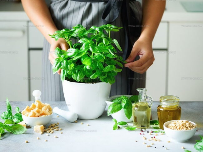 Best Ways to Eat Basil Fresh