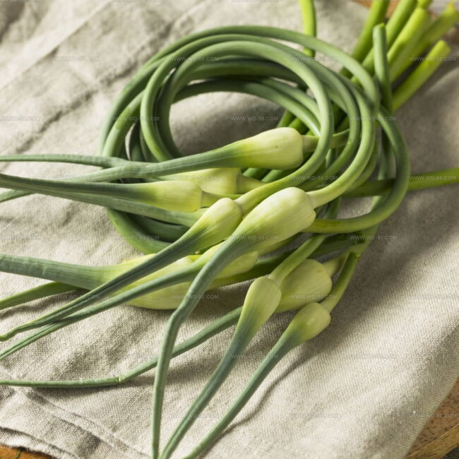 Garlic Scapes