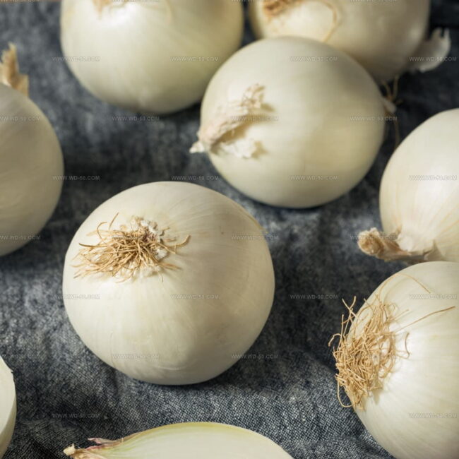 White Onions