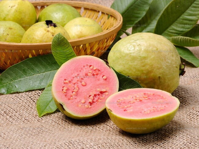 What’s Guava All About?