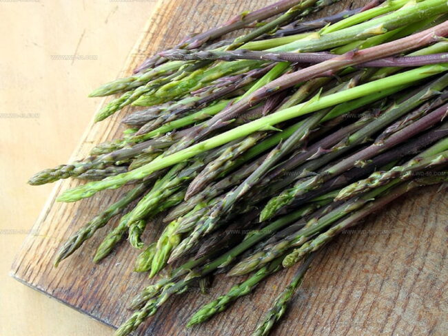 Wild Asparagus Type